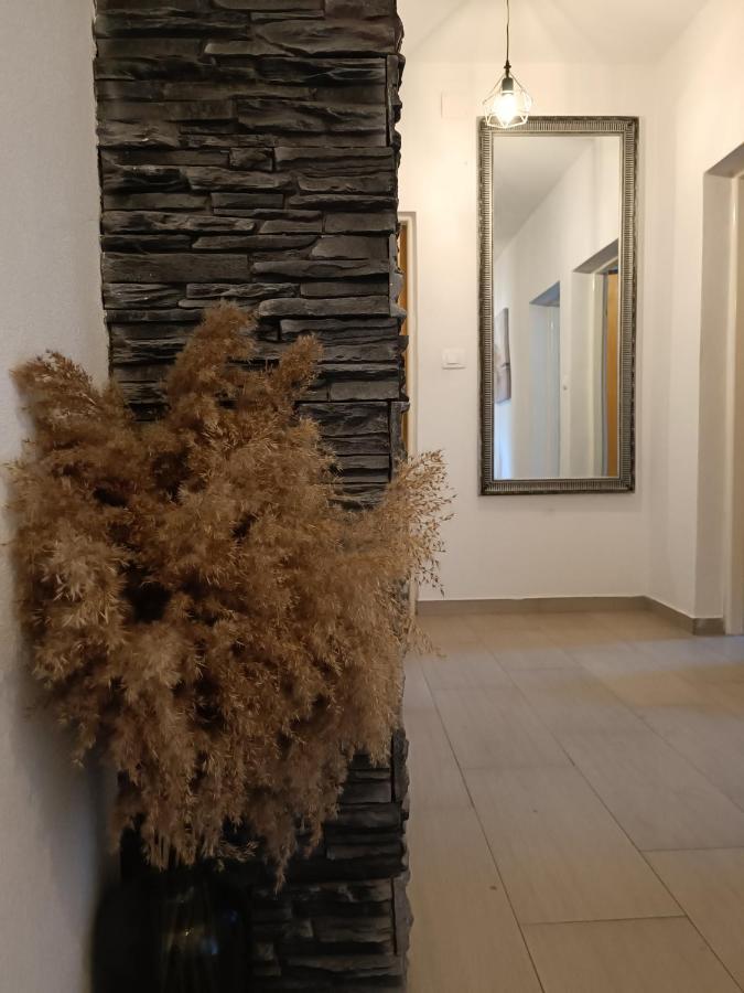 شقة Apartman Brigita بيوغْغاد نا موغو المظهر الخارجي الصورة